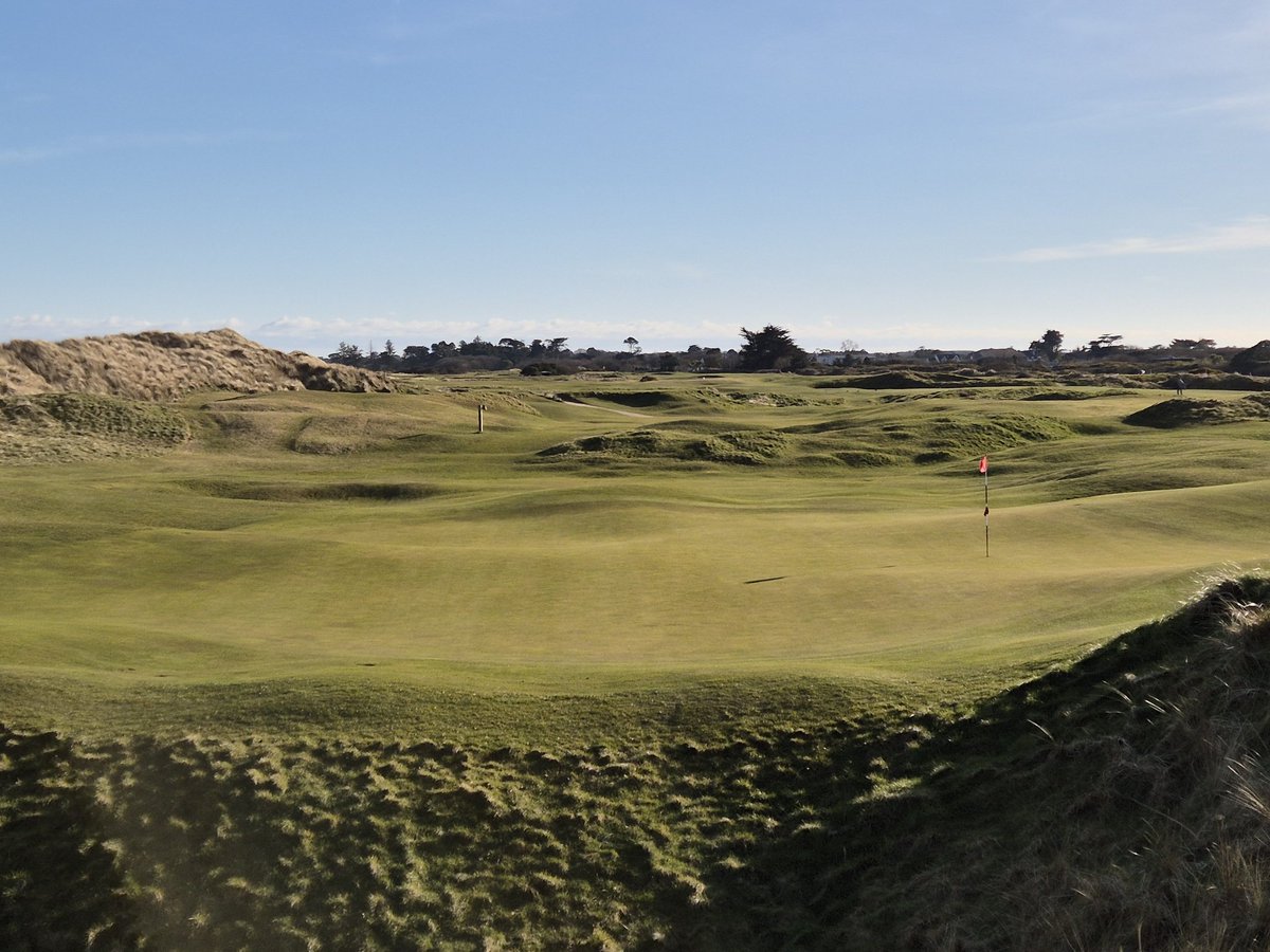 Mark Doyle tweet media