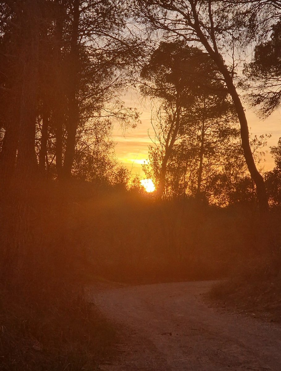 toninadalurrea's tweet image. Març