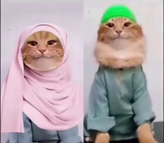 كبل الاندنوسيين بالحرم