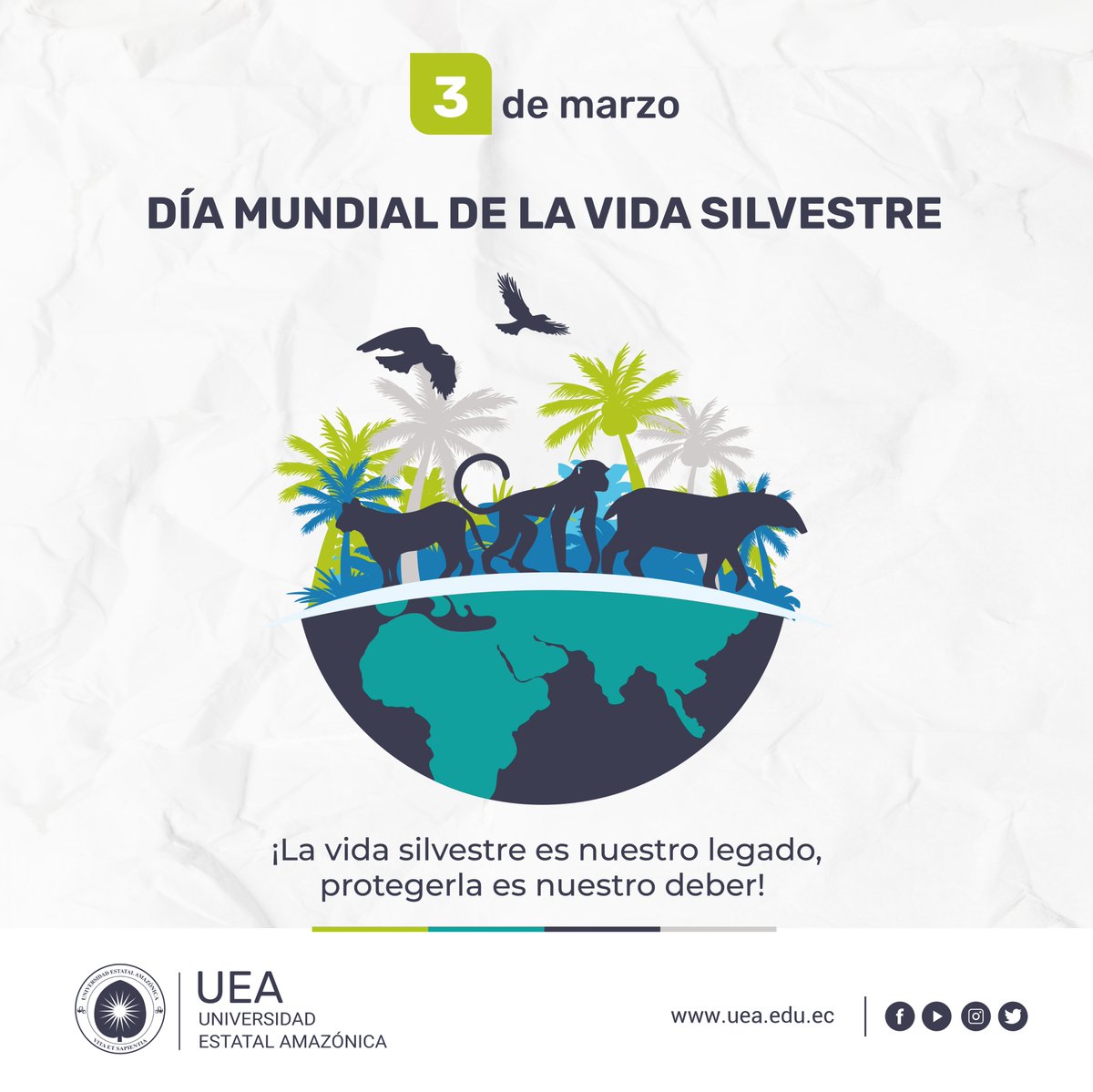 📷📷 Día Mundial de la Vida Silvestre 📷📷
Cada 3 de marzo, celebramos el Día Mundial de la Vida Silvestre, una oportunidad para reflexionar sobre la importancia de conservar la biodiversidad y proteger los ecosistemas que sustentan la vida en nuestro planeta. 📷📷