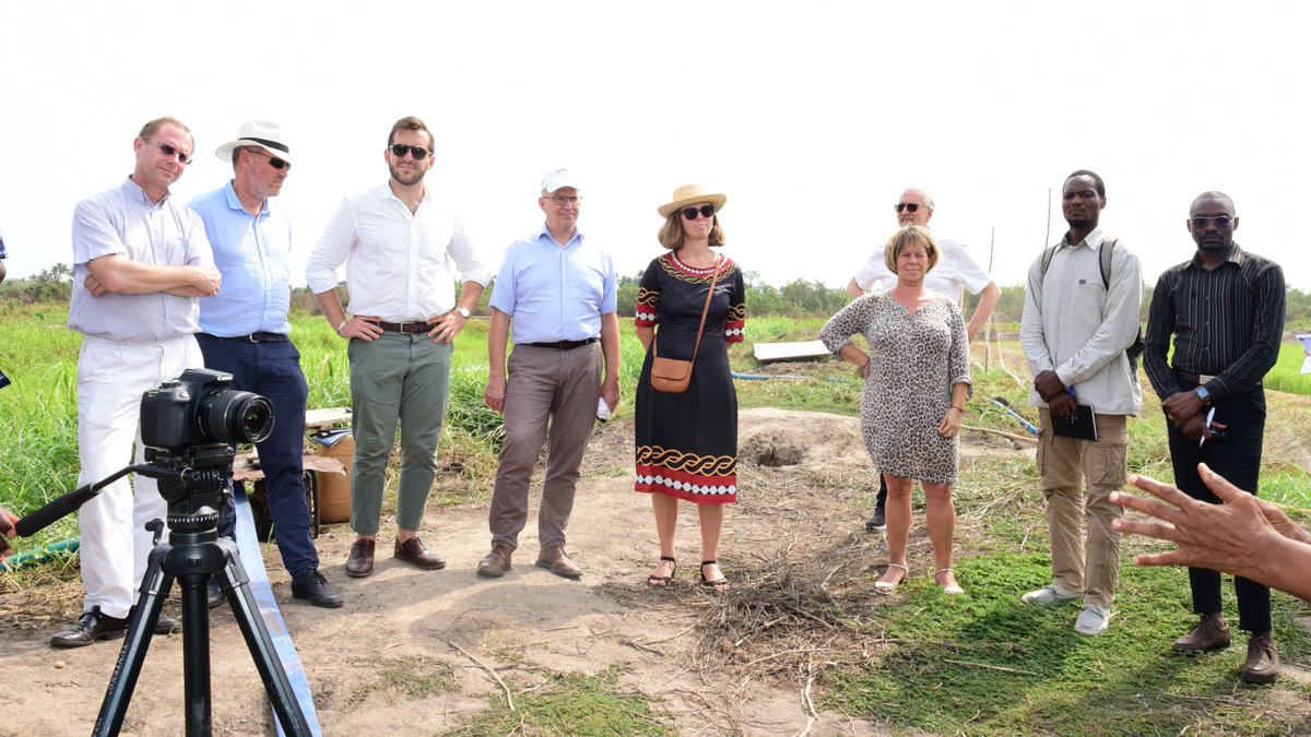 UEauBenin's tweet photo. #VisitedeProjets de l’#ÉquipeEurope🇪🇺🇩🇪🇧🇪🇫🇷🇱🇺🇳🇱: échanges avec les femmes et les agriculteurs de la Plateforme d’Innovation riz biologique du Mono #MATEKPO. Financé par 🇪🇺&amp;🇱🇺 et mis en œuvre par @EnabelauBenin 
#PlusFortsEnsemble
#TeamEurope
#GlobalGateway
#DeltaMono https://t.co/ukT5MyZZVD
