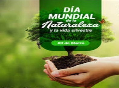 El 3 de marzo se celebra el Día Mundial de la Naturaleza, una fecha proclamada en 2013 por la Asamblea General de las Naciones Unidas
#DMEManicaragua #EducaciónVillaClara #CubaMined