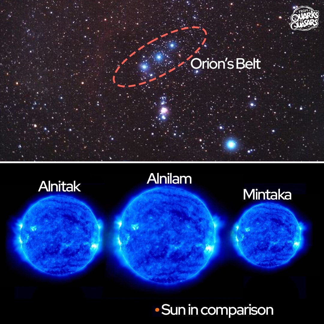 The three stars in Orion compared to the Sun:

The stars in Orion's Belt are simply massive. They are all blue supergiants: Alnitak, Alnilam, and Mintaka.