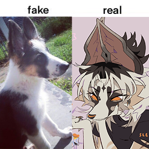 𝕯𝖆𝖒𝖘𝖔𝖓 tweet media