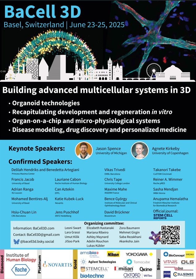 Mehmet Girgin tweet media