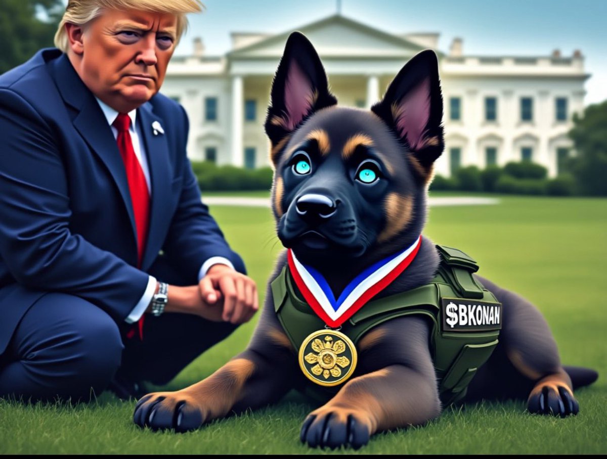 est_jared's tweet photo. @100xAltcoinGems @BabyKonanCoin #KRC20 #Kaspa #Bark #BKONAN #BKONANARMY https://t.co/LtskfsD566