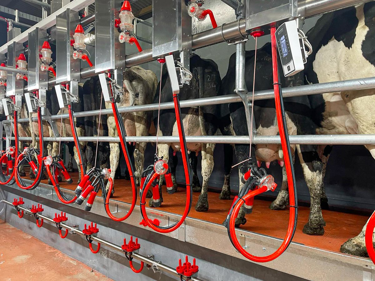 Pearson Milking Technology tweet media