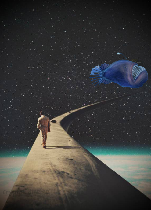 All Roads Lead to Anglerfish
#sherises