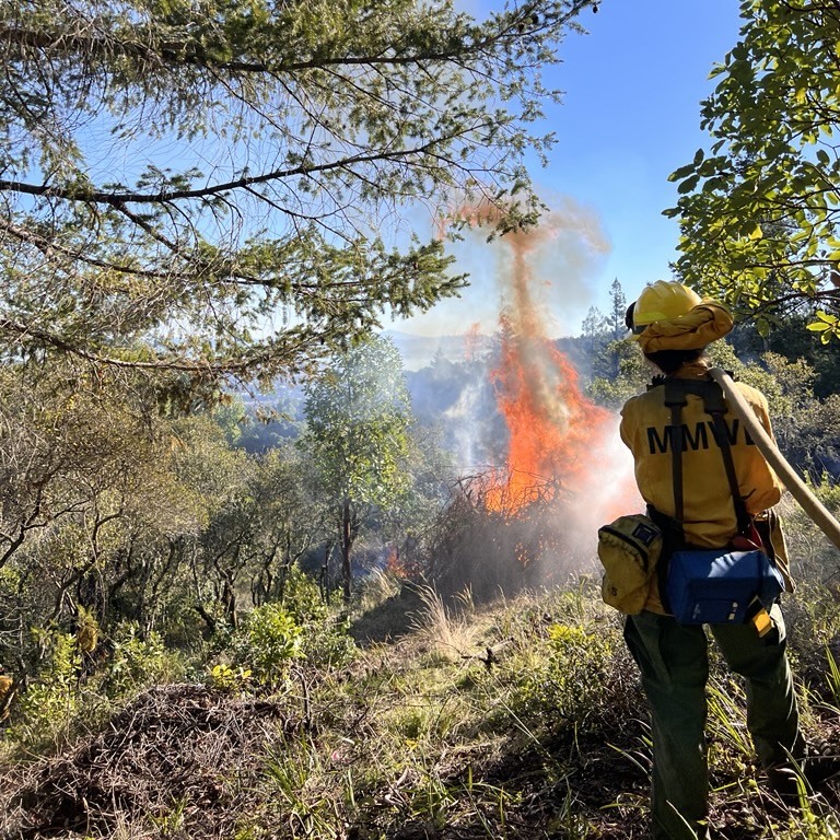 *PILE BURNING ON MT. TAM WATERSHED THE WEEK OF MAR. 3*
- Near West Peak at former Mill Valley Air Force Station
- Will continue for additional days this week if conditions are right.
Smoke coming from the area may be visible during this work. Learn more: marinwater.org/WatershedResil…