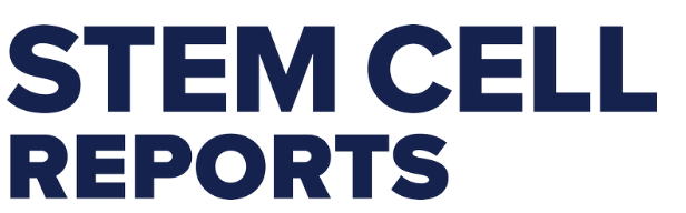 Mehmet Girgin tweet media