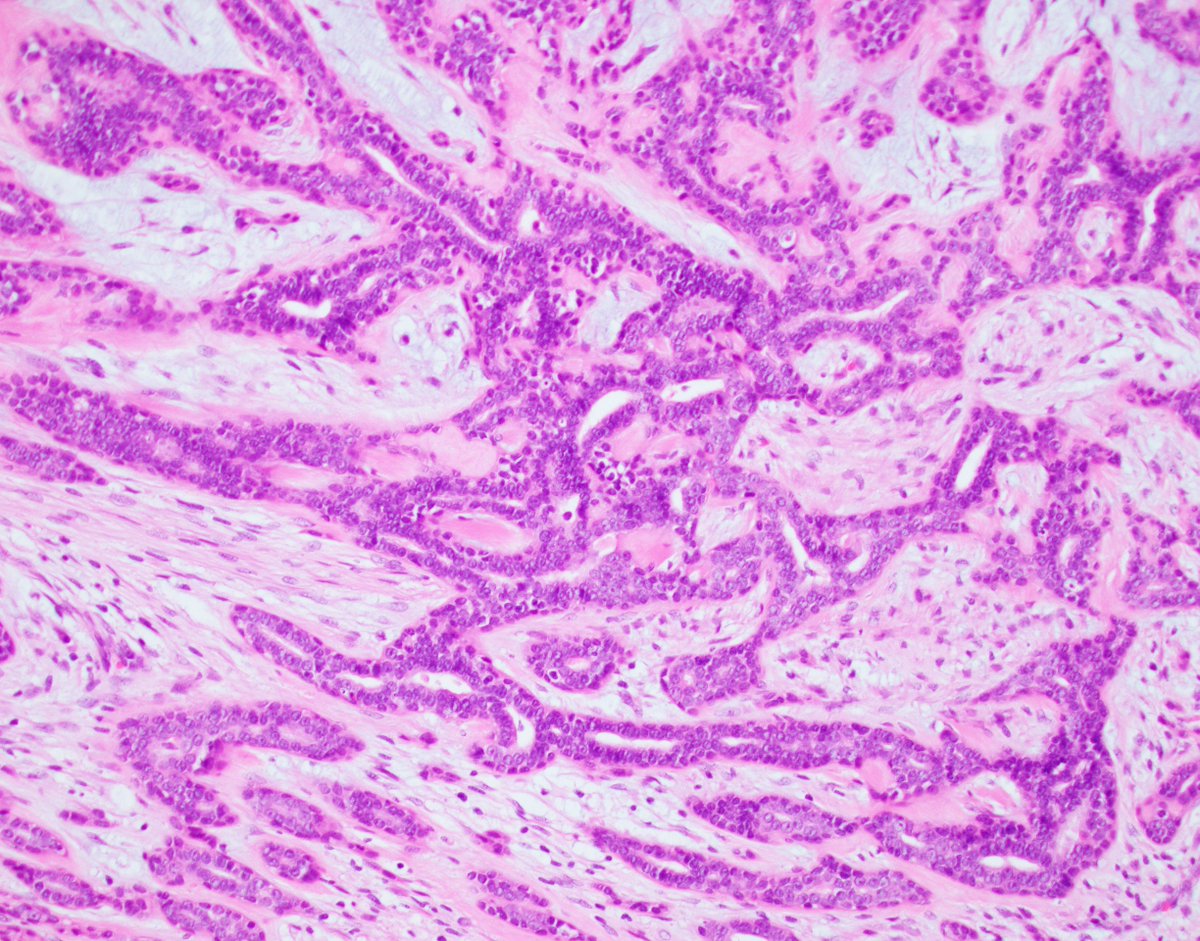 Fouad Boulos tweet media