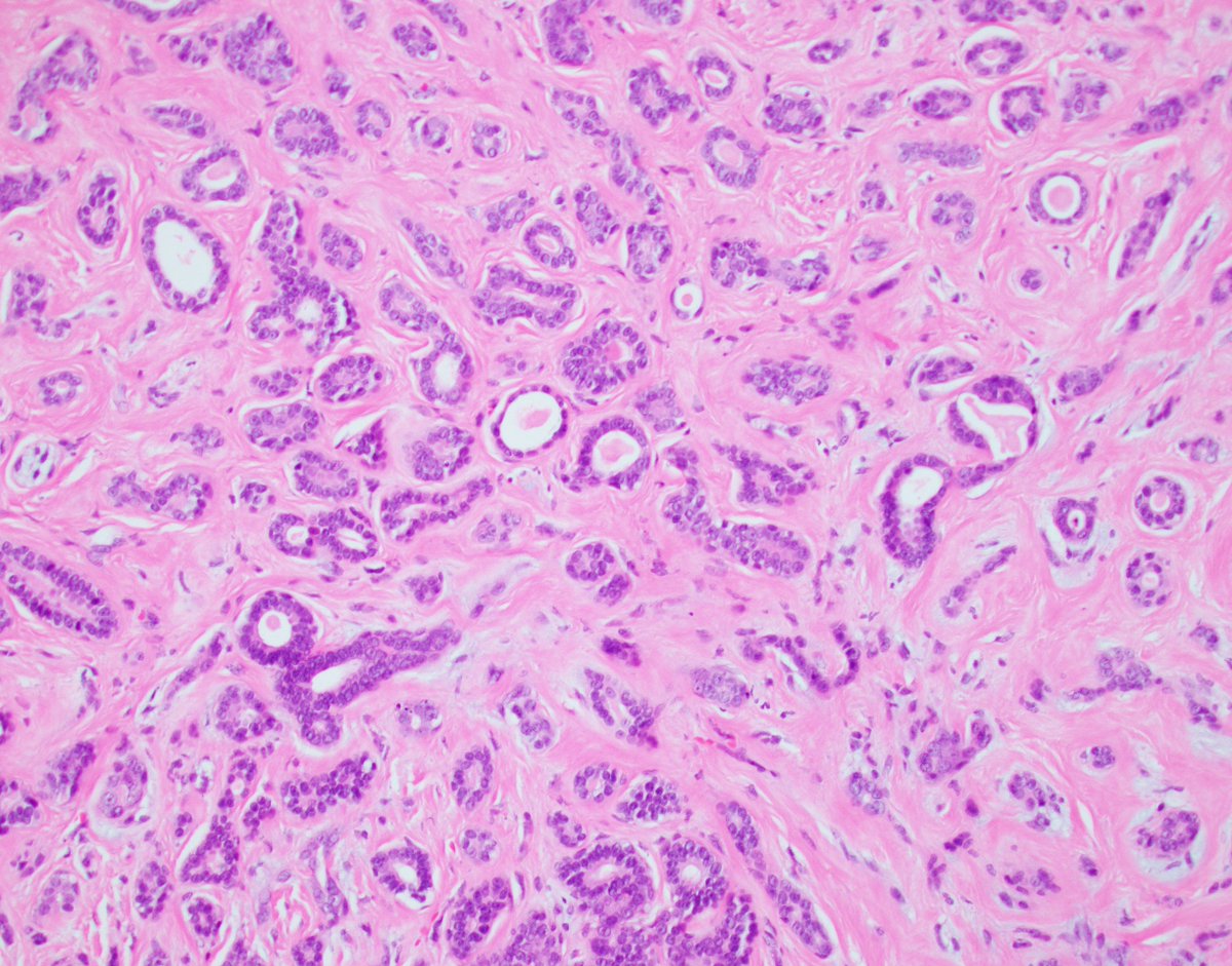 Fouad Boulos tweet media