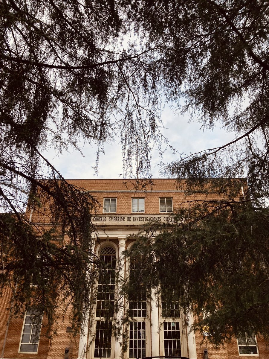 Luis Moreno Martínez tweet media