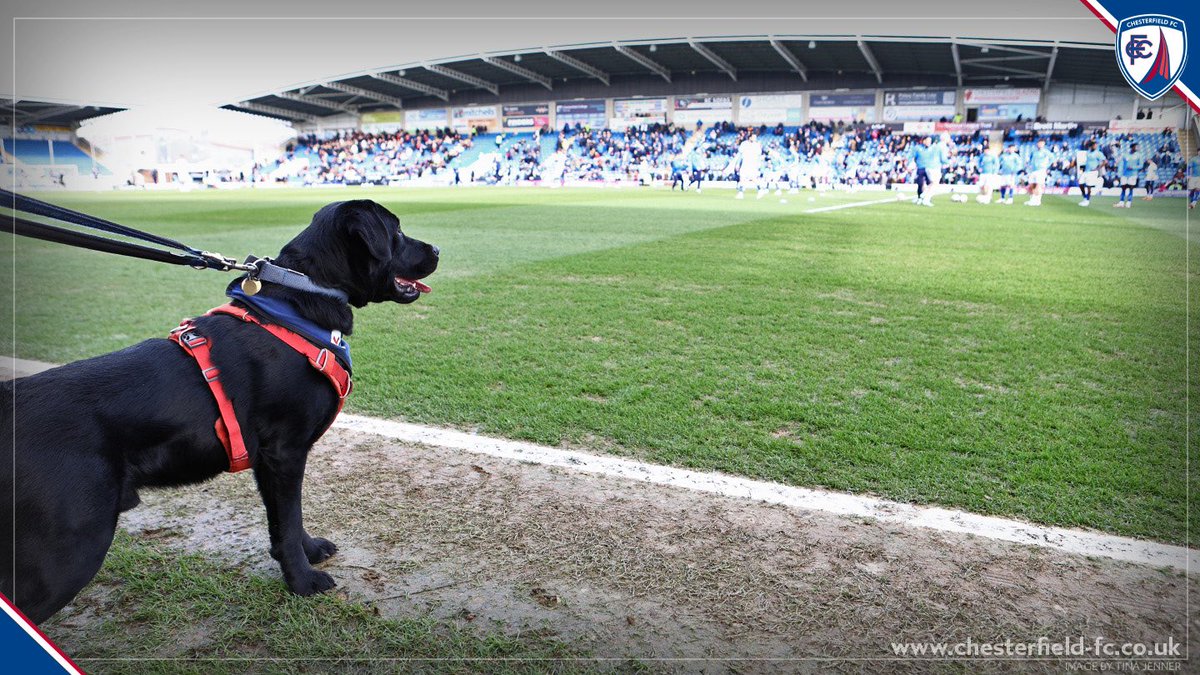 spireitestrust's tweet image. A support dog in training attended Saturday’s game at the SMH Group Stadium.
Read more here 👉 spireitestrust.org.uk/2025/03/03/sup…
@supportdogsuk