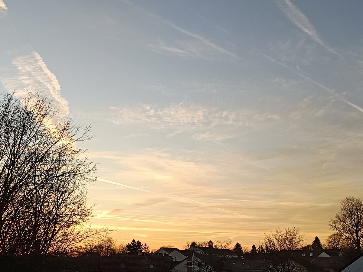 a_wimmer5's tweet image. Montag, 03.03.2025. Die fleißigen Sprüher sind wieder unterwegs um die Menschen, Tiere und Natur zu zerstören. #stopchemtrails #stopgeoengineering. Habt einen schönen Abend.