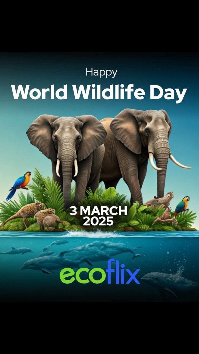 Happy #WorldWildlifeDay from all of us here at Ecoflix! 🌱Ecoflix.com