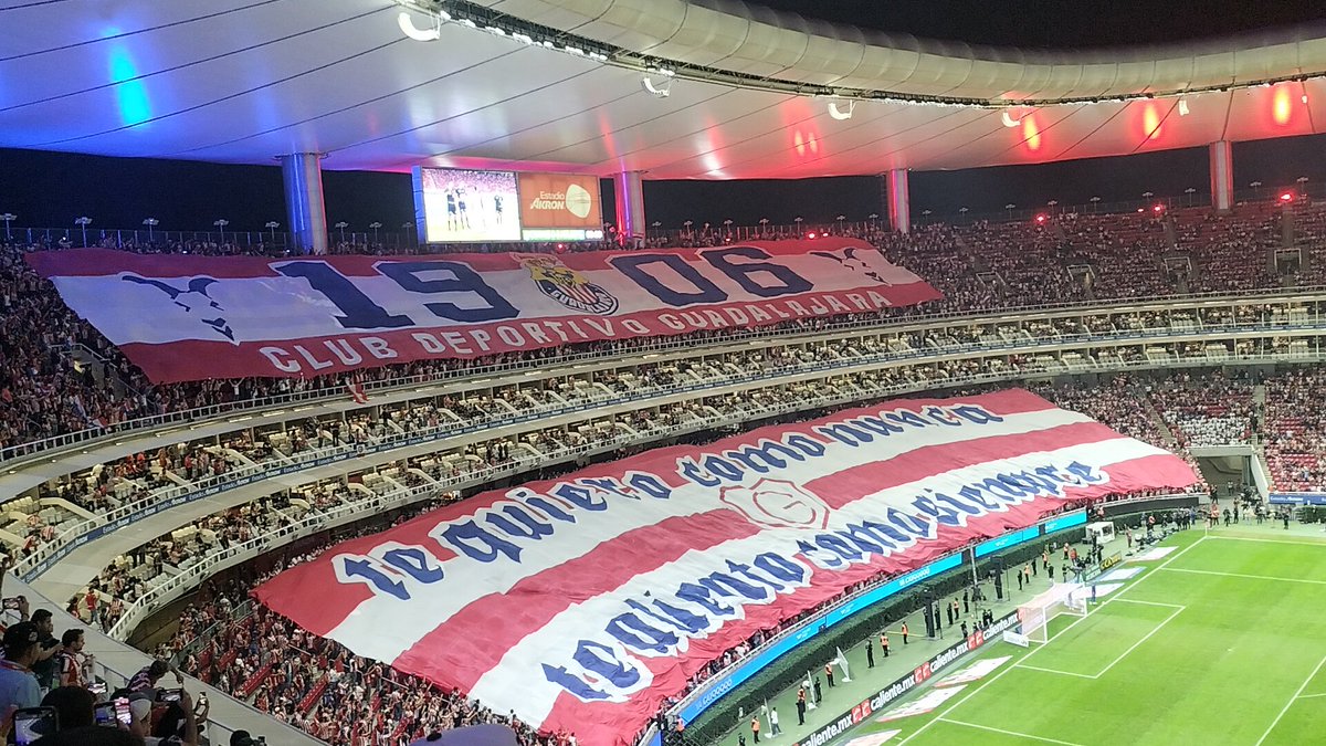 Fer 🫩 tweet media