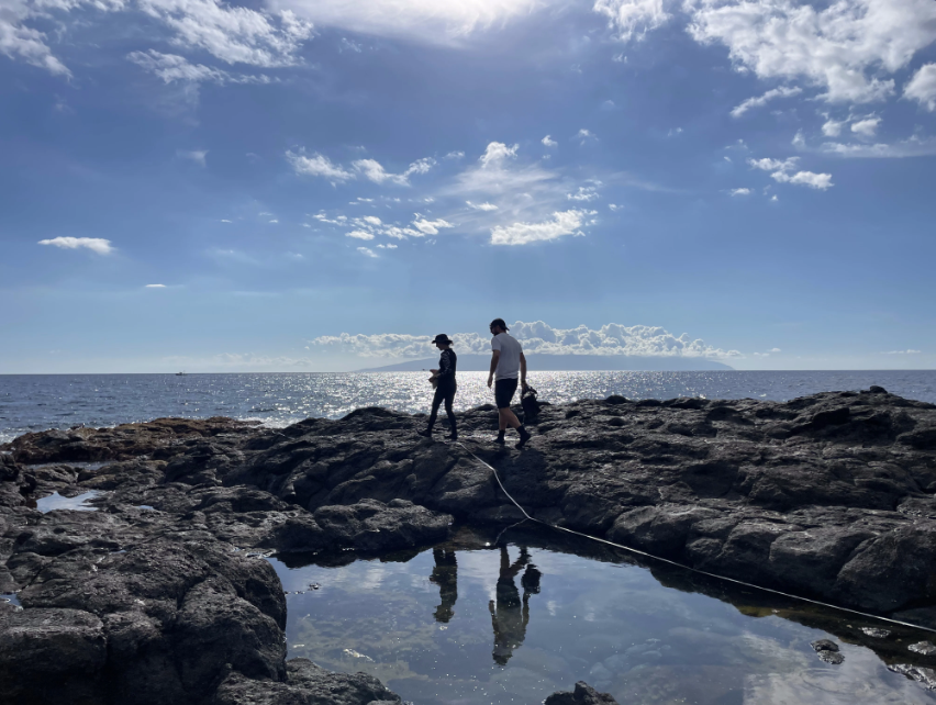 oceancitizen_eu's tweet photo. @OurMissionOcean Because wildlife is our future, on land and in the ocean 👥🌍 #InvestingInPeopleandPlanet #WWD2025 #MarineConservation #MissionOcean #EUOceanDays #OceanRestoration

📷 Isabel Peeters &amp; Marc garcia Duran (UGI), Alex Morell (@Cambio2100 @IMEDEA_UIB_CSIC), Diana Scalfati (#CoNISMa) https://t.co/eq5OGDZvhb