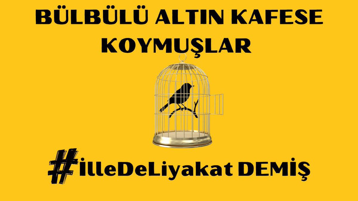 Aile ve Sosyal Hizmetler Bakanlığı’nın yeni düzenlemesi ile birlikte kamuoyunda "sosyal hizmet personeli" gibi tanımı, mesleki standartları ve görev yetkileri belli olmayan yeni bir kavram türetilmiştir. Ancak, sosyal hizmet bir bilim ve meslek disiplinidir. Böyle muğlak ve