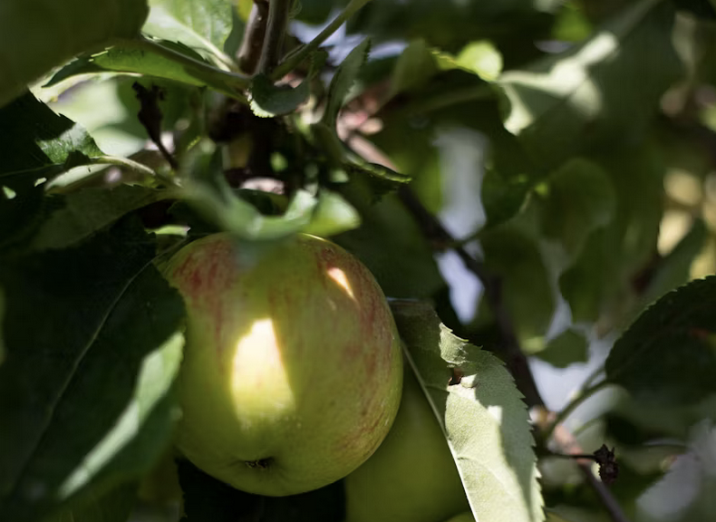 ATC Landscape tweet media