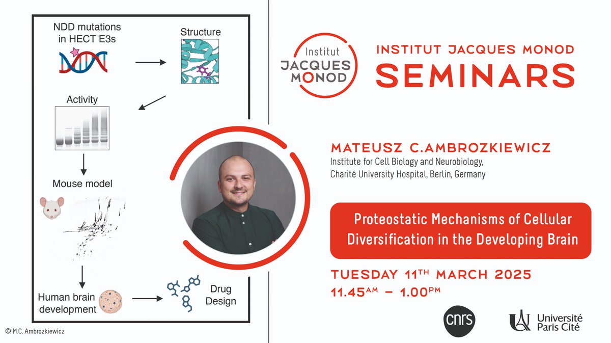 MAmbrozkiewicz's tweet image. If you&apos;re in Paris next week, see you at Jacques Monod 🔬🧬 thanks for the invite @nkonst4 we&apos;ll have some amazing science discussions!