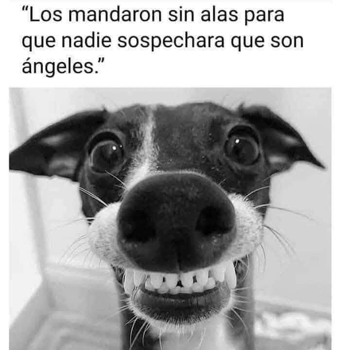 Sabueson's tweet image. 