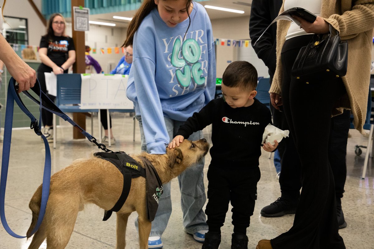 NKCSchools's tweet photo. Last week, families from @LakewoodNKC &amp; @WinnwoodRocks came together for the first time in their new combined building to celebrate Culture Night at @GreenwayNKC! Thank you to everyone who shared their traditions &amp; helped make this event special! Photos: https://t.co/3vJJgI3soA https://t.co/sr1xIKJg9V