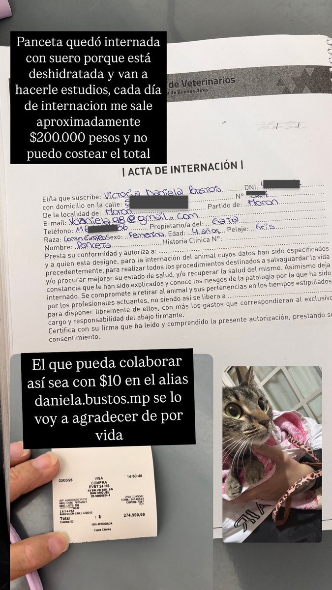 danielavbustos's tweet photo. Panceta quedó internada hasta nuevo aviso, el que pueda colaborar así sean $10 en el alias https://t.co/p84Ku4cmqs se lo voy a agradecer toda la vida, quien pueda darle rt también me ayuda un montón 🙏🏻🚨 https://t.co/zpo8lXdrzb