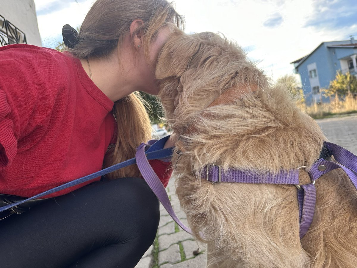 pineapplexde's tweet image. Seninle büyüdüğüm için çok şanlıyım canım bebeğim, 13 yıllık dostluğun için teşekkür ederim iyi ki bizimleydin. Seni çok seviyorum akıllı kızım güzel yavrum,ışıkları içinde uyu 🪽♥️ 28.02 ♾️