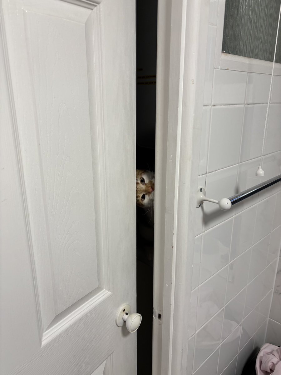 binkywinkywoo's tweet image. LET ME INNNNN I NEED TO EAT TOILET PAPER SO BADDDDDD