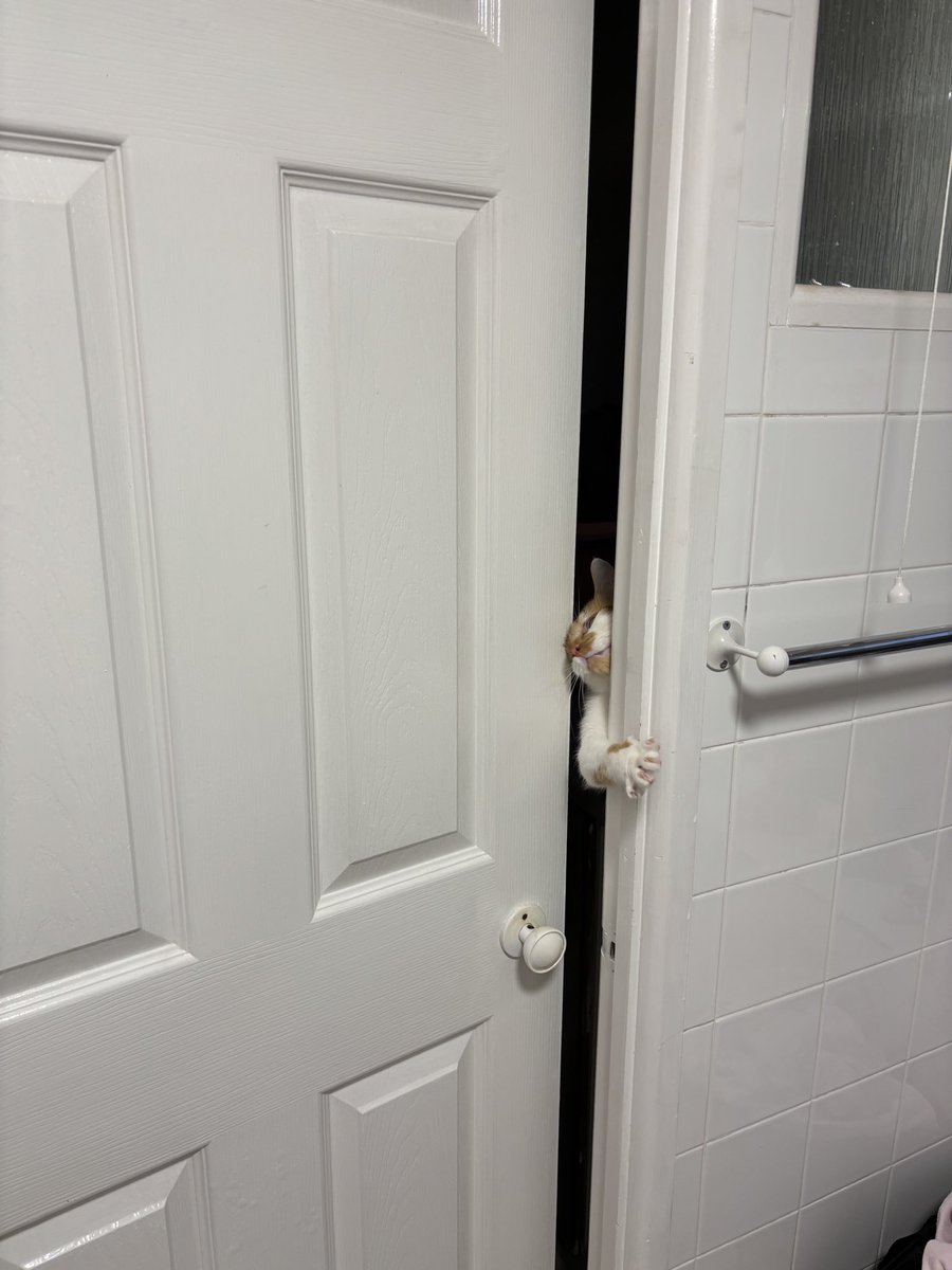 binkywinkywoo's tweet image. LET ME INNNNN I NEED TO EAT TOILET PAPER SO BADDDDDD