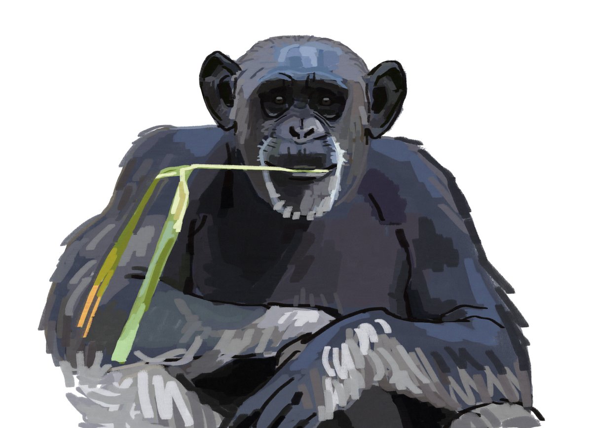 meatybug's tweet image. judy from noichi zoo &amp;lt;3