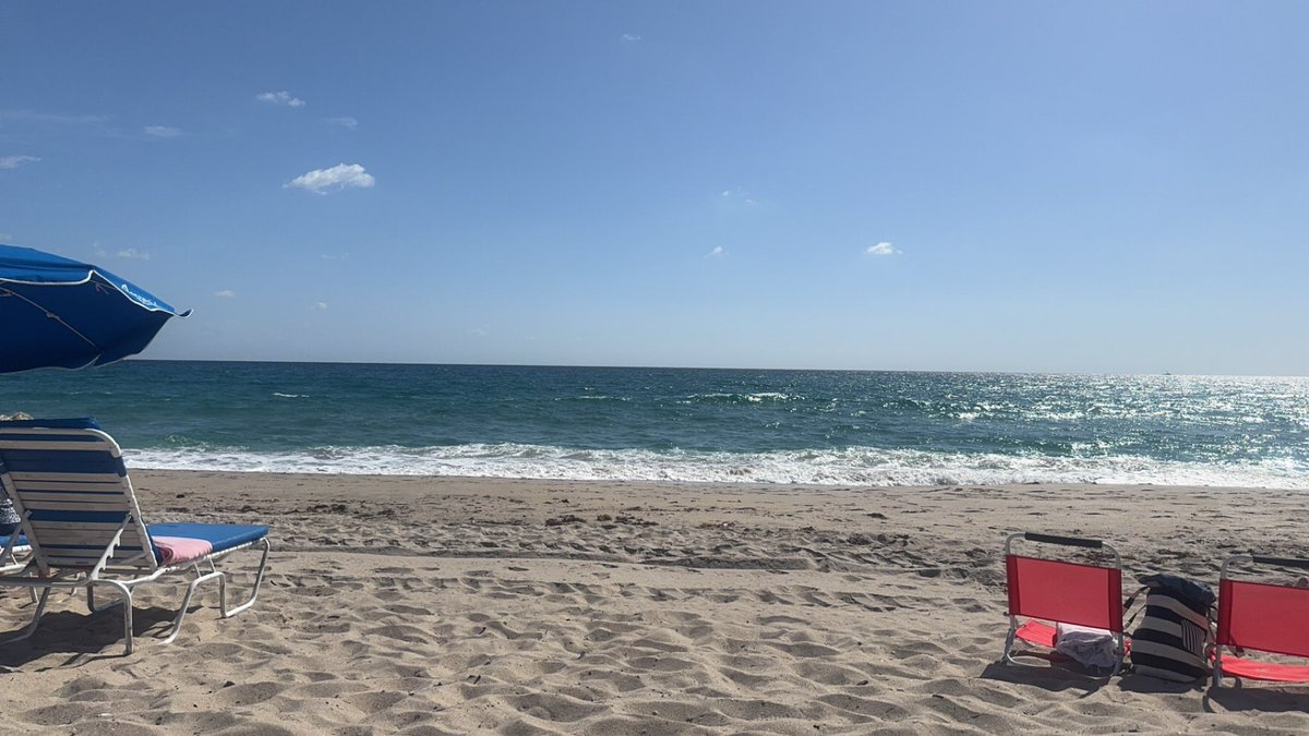 LeonorM31's tweet photo. This never gets old. Perfect day https://t.co/6Ut3mVEhPp