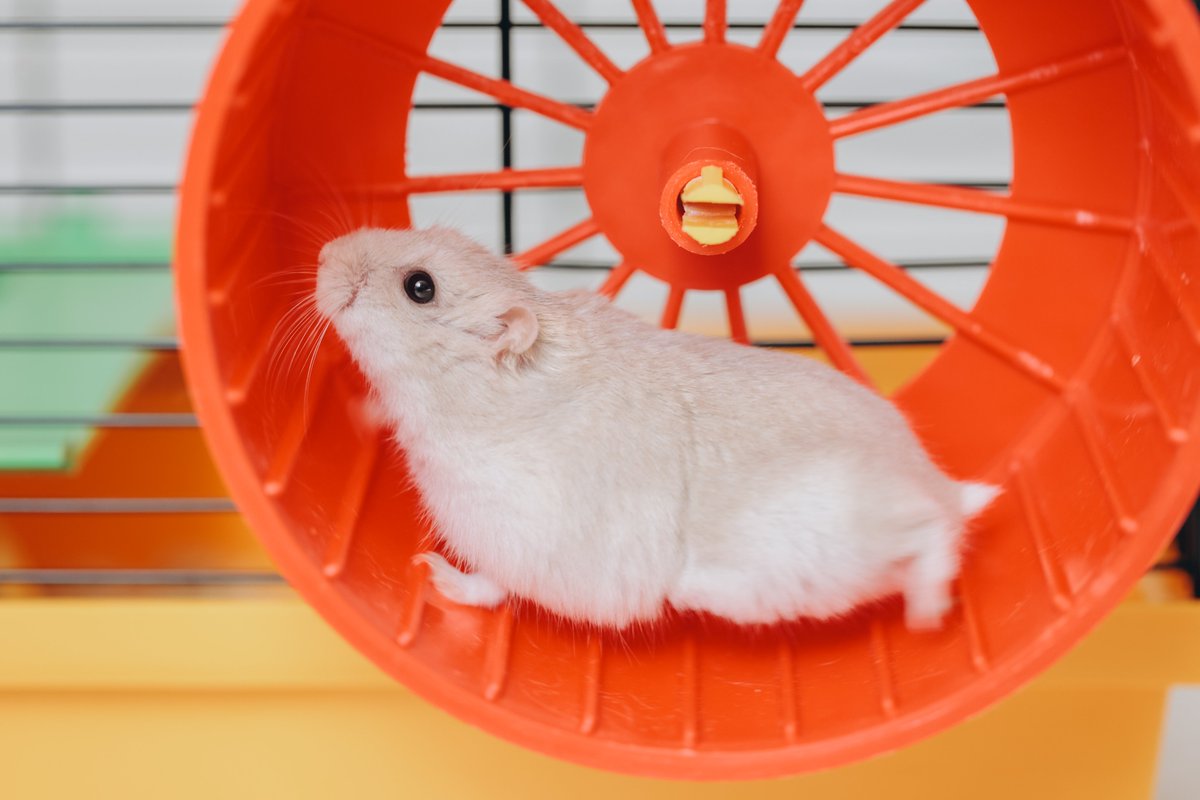 findingyourfire's tweet image. Enjoying the Ride? open.substack.com/pub/kathybrunn…