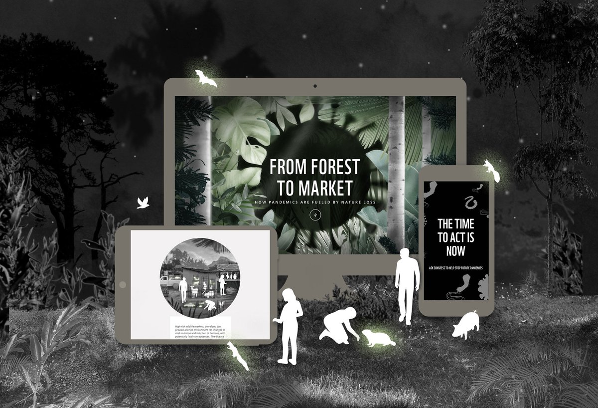 Happy World Wildlife Day. We've been proud to partner with <a href="/World_Wildlife/">World Wildlife Fund</a> since 2015 and support their mission to conserve nature and reduce the most pressing threats to the diversity of life on Earth.

#WorldWildlifeDay #NatureConservation #WorldWildLifeFund