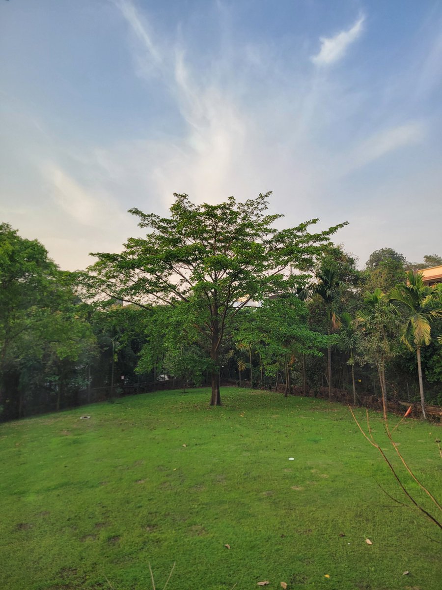 Abhilash Konki (@abhilashkonki) on Twitter photo And here we go! Stellar Day 1 <a href="/credoworkshop/">CReDO</a> in picturesque Lonavala! Energetic start by Richard Stephens (patient advocate) and a heartwarming end by
<a href="/R2SurviveCancer/">Vivek Tomar #RiseToSurviveCancer</a>. Amazing mentors <a href="/mattsydes/">Matt Sydes</a> <a href="/cspramesh/">Pramesh CS</a> <a href="/docpriyar/">Priya Ranganathan</a> ! And new friends <a href="/QuantumOnc/">Dr. Karan Sood</a> ! And here we go! Stellar Day 1 <a href="/credoworkshop/">CReDO</a> in picturesque Lonavala! Energetic start by Richard Stephens (patient advocate) and a heartwarming end by
<a href="/R2SurviveCancer/">Vivek Tomar #RiseToSurviveCancer</a>. Amazing mentors <a href="/mattsydes/">Matt Sydes</a> <a href="/cspramesh/">Pramesh CS</a> <a href="/docpriyar/">Priya Ranganathan</a> ! And new friends <a href="/QuantumOnc/">Dr. Karan Sood</a> !