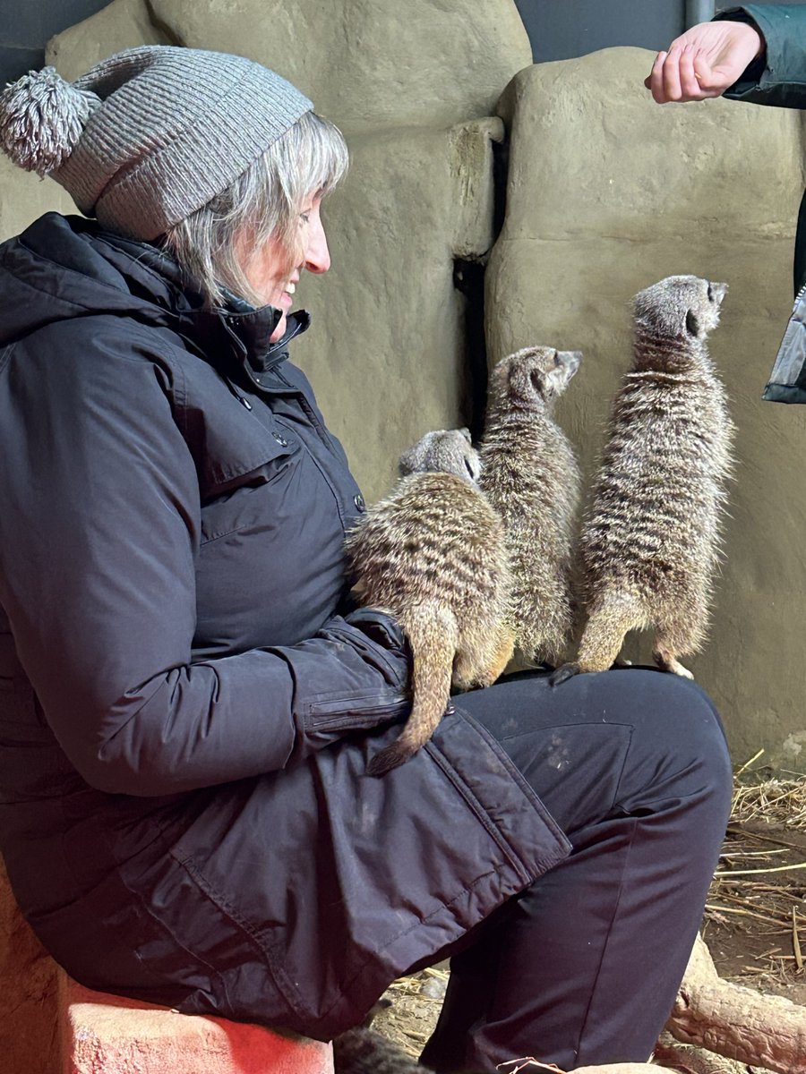 Happy Monday from the awesome <a href="/LimpsfieldGrang/">Limpsfield Grange</a> !