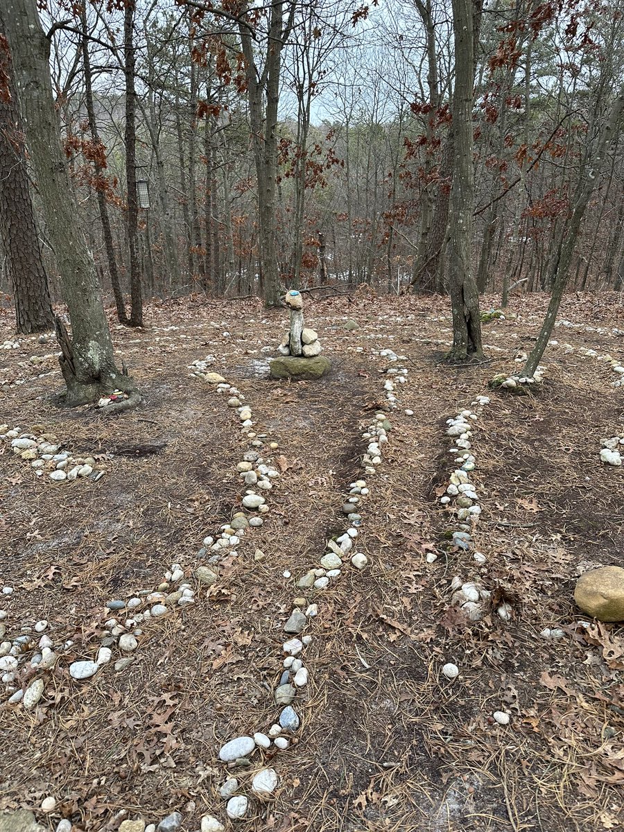 Recent activities 🪨📚🃏🌲