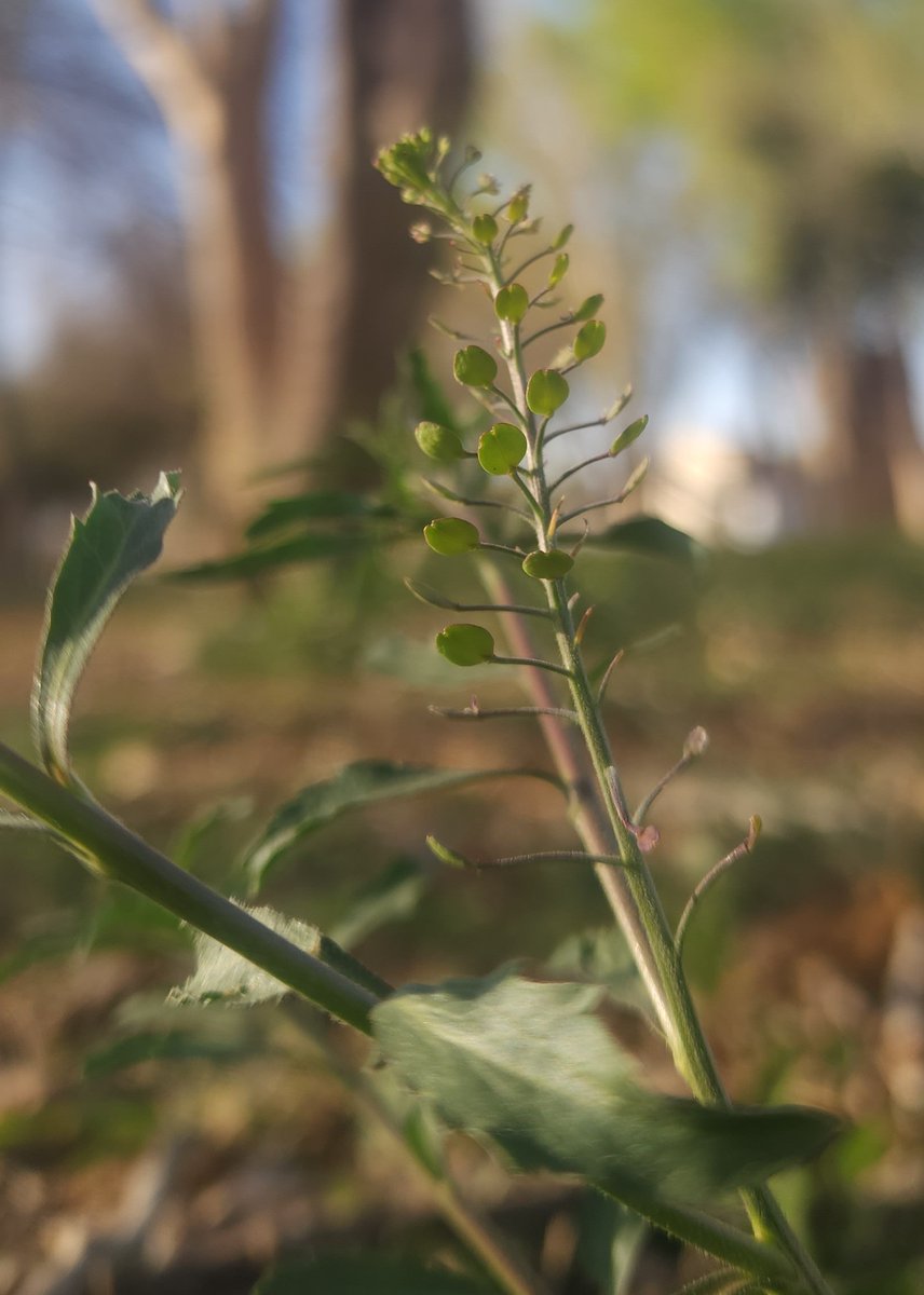 We are all bound in the spiral dance