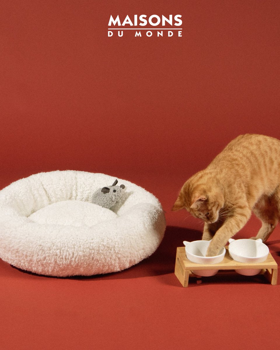 EsteparkCs's tweet image. NUEVA COLECCIÓN DE MASCOTAS DE #MAISONSDUMONDE ✨🐾

Comodidad, estilo... ¡Y mucho amor! 🐶🐱: ¡accesorios de moda para un look peludo! 😍 😍

Visita su gran tienda en #Estepark y descúbrelo todo!