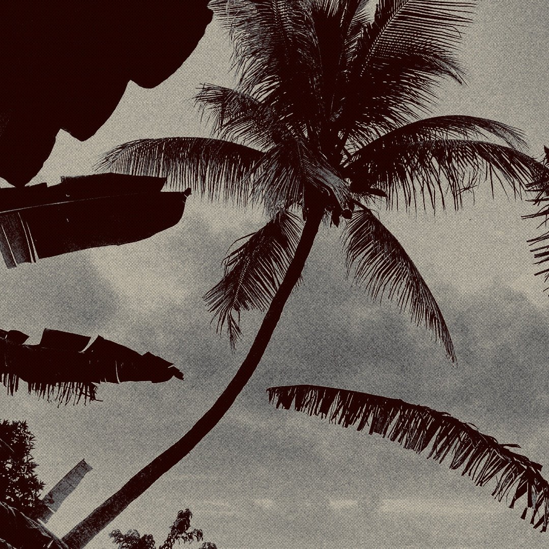 até  agora  bahia  já  me  deu  régua,  compasso,  energia  e  muito  axé,  e  eu  tô  totalmente  head  over  heels  desde  que  pousei  nessa  terra  encantada,  acompanhada  do  baiano  mais  lindo  que  já  bagunçou  esse  cosmo.  🌿💚.