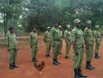 Madungwe at the Prophets cup clash on Sunday😂😂😂
