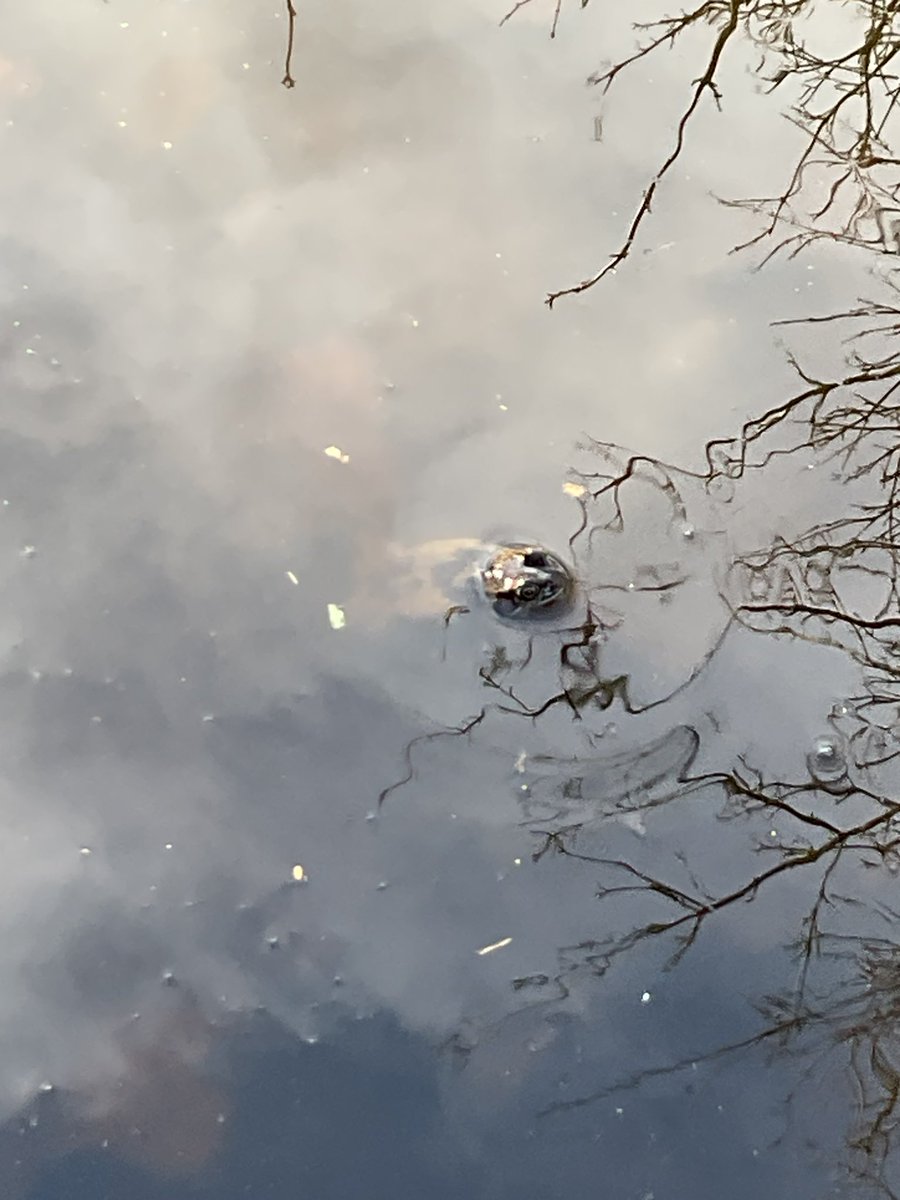 @MrsBooth_KPA tweet media