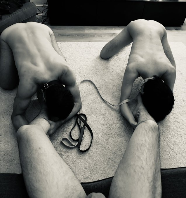 justafagv2's tweet photo. Subs don't need to compete
They should work together
To please their Alpha Master

#gaydom #gaysub #gayalpha #footmaster https://t.co/CShfb729dN