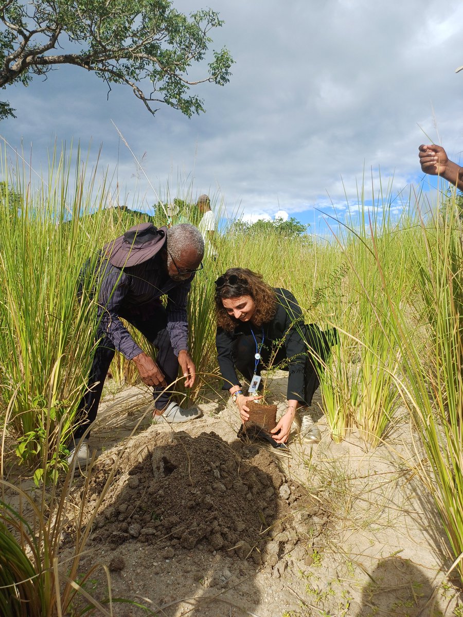 Zandisile_Howe's tweet photo. Resilience in action! The Manyeveni community is leading the way in restoring their environment through the Yonge Nawe Manyeveni Donga Rehabilitation Project, supported by the Eswatini Environment Fund. Many hands, one mission, local action for global change💚! https://t.co/zbYAtnEHMM