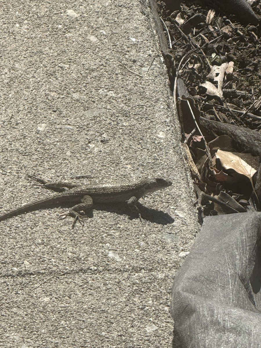 Swear to Destroya this mf just spoke to me