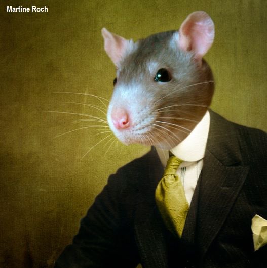 bbenjibbash's tweet image. 