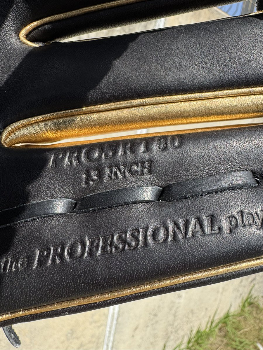 東北楽天ゴールデンイーグルス 辰己 涼介選手 使用グラブ:RT80（プロ