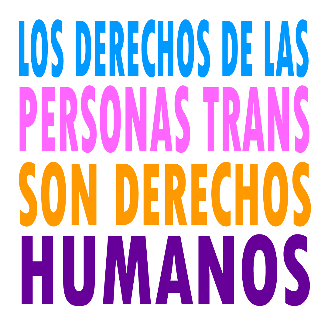 ovlgbtiq's tweet photo. Las personas trans, activistas y organizaciones de la sociedad civil nos hemos mantenido en constante exigencia durante los últimos sobre el derecho a la identidad y la posibilidad del cambio de nombre.
¡El momento es ahora! #IdentidadTransYa https://t.co/xDuxha8p8z