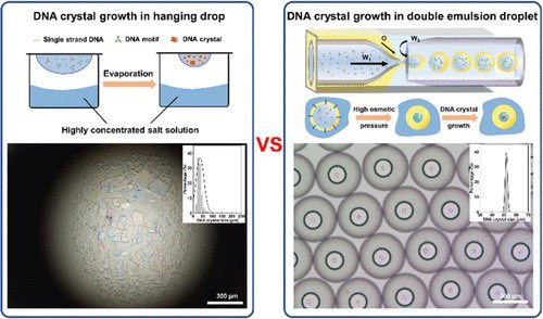 Precision Self-assembly of 3D DNA Crystals Using Microfluidics
pubs.acs.org/doi/10.1021/ja…

We present a novel strategy for synthesizing monodisperse 3D DNA single crystals using microfluidic double-emulsion droplets as nanoliter-scale microreactors.